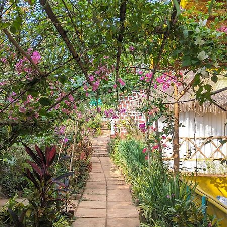 Hippie Paws Hotel Mandrem Luaran gambar