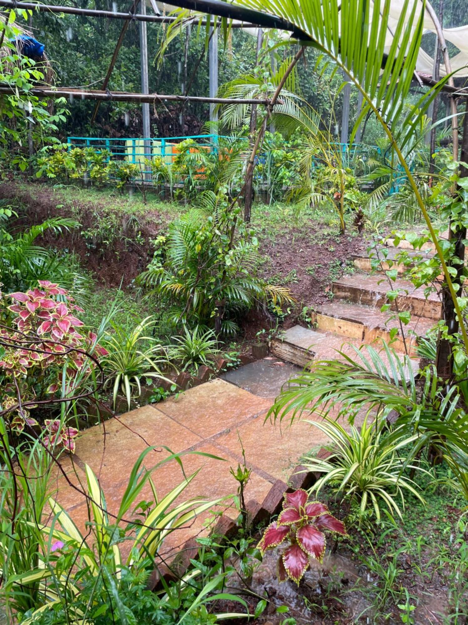 Hippie Paws Hotel Mandrem Luaran gambar