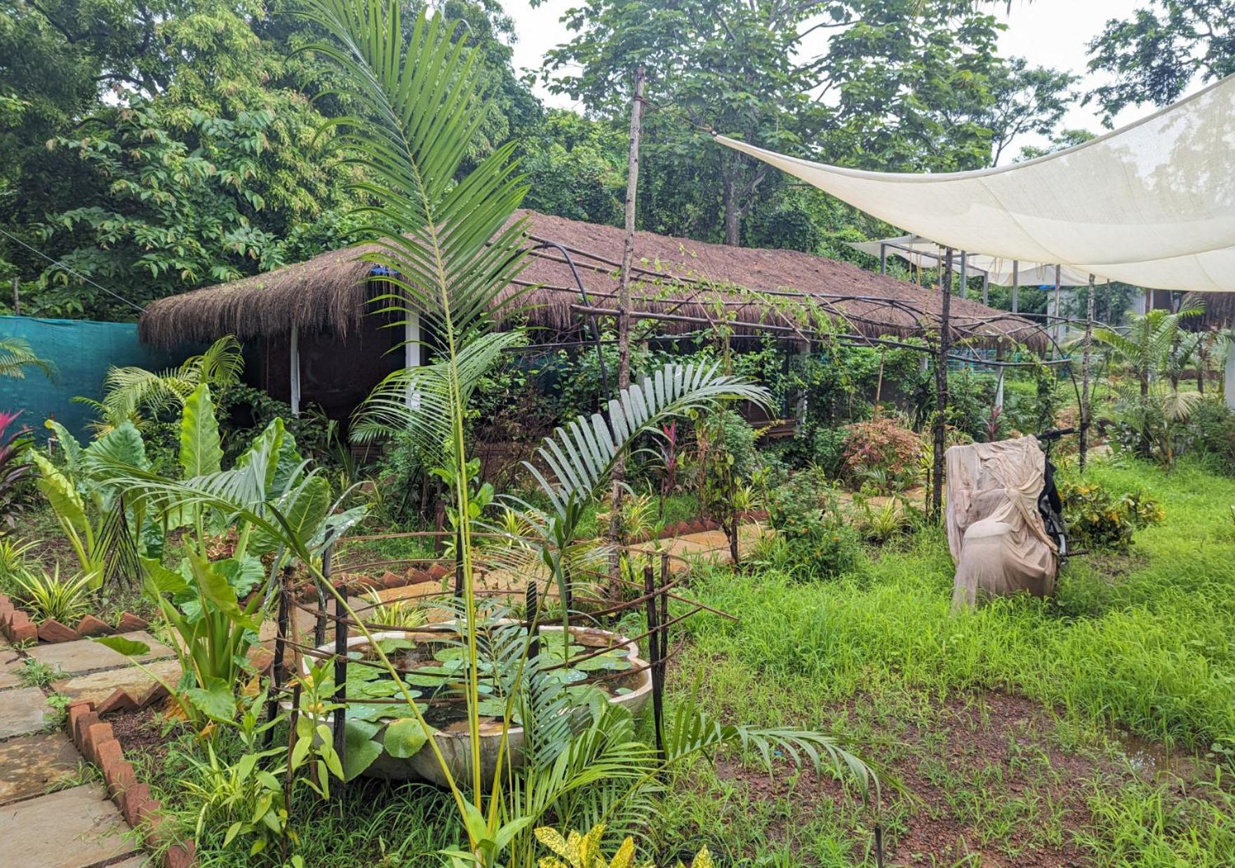 Hippie Paws Hotel Mandrem Luaran gambar
